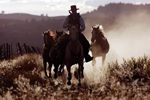 Ranches: Cattleman riding Quarter / Paint Horse