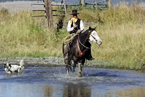 Ranches: Cattleman riding Quarter / Paint Horse