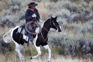 Ranches: Cattleman riding Quarter / Paint Horse
