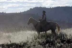 Ranches: Cattleman riding Quarter / Paint Horse
