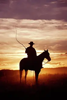 Cattleman: Cattleman riding Quarter / Paint Horse - at sunset