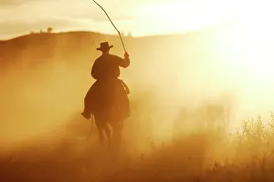 Ranches: Cattleman riding Quarter / Paint Horse at sunset