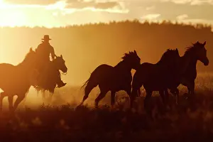 Ranches: Cattleman riding Quarter / Paint Horse at sunset
