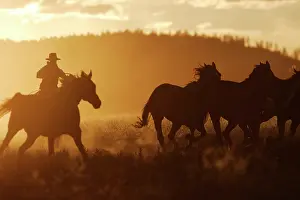 Ranches: Cattleman riding Quarter / Paint Horse at sunset