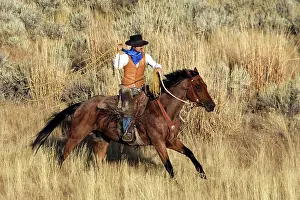 Ranches: Cattleman riding Quarter / Paint Horse - using lasso