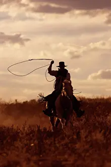 Ranches: Cattleman riding Quarter / Paint Horse - using lasso
