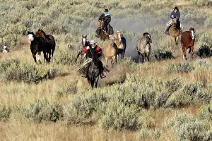 Ranches: Cattlemen herding Quarter / Paint Horses