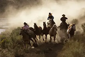 Ranches: Cattlemen herding Quarter / Paint Horses