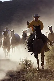 Ranches: Cattlemen herding Quarter / Paint Horses