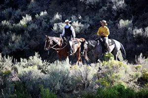 Cattleman: Cattlemen riding Quarter / Paint Horse