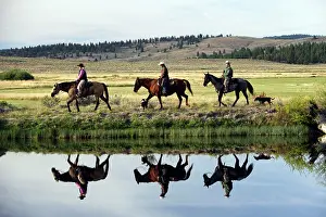 Cattleman: Cattlemen riding Quarter / Paint Horse