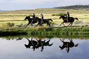 Ranches: Cattlemen riding Quarter / Paint Horse