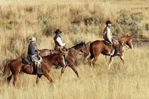 Ranches: Cattlemen riding Quarter / Paint Horse