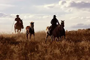 Ranches: Cattlemen riding Quarter / Paint Horses