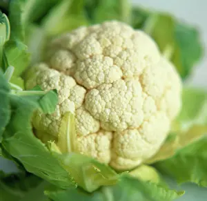 Cauliflower: Cauliflower