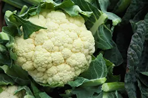Cauliflower: Cauliflower