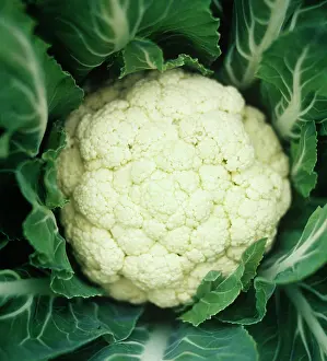 Wholesome: Cauliflower