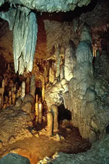 Stalactite: Cave in Barbados
