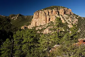 Portal: Cave Creek Canyon, in the Coronado National Forest
