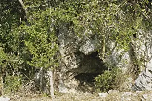 Reserva: Cave in Cuba