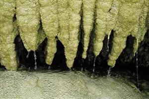 Spelunking: Cave stalactites