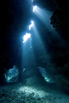 Cayman: Cayman Islands, Grand Cayman Island, Underwater