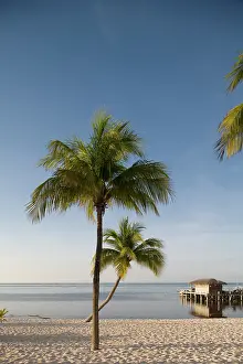 Dock: Cayman Islands, Little Cayman Island, Morning