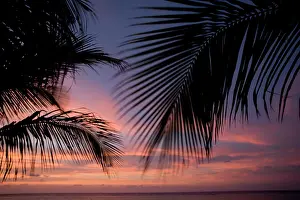Cayman: Cayman Islands, Little Cayman Island, Silhouette