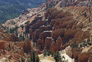 Feature: Cedar Breaks National Monument