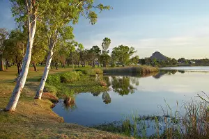 Eucalyptus: Celebrity Tree Park, and Lily Creek Lagoon