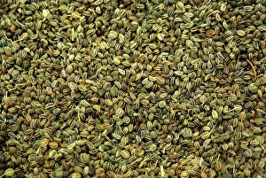 Celery: Celery Seeds