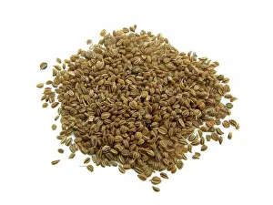 Celery: Celery Seeds