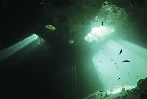 Wells: Cenote Esqueleto