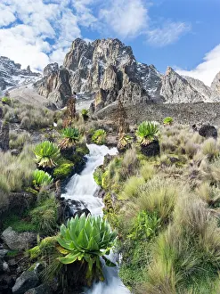 Gigantic: Central Mount Kenya National Park (a UNESCO