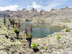 Gigantic: Central Mount Kenya National Park (a UNESCO