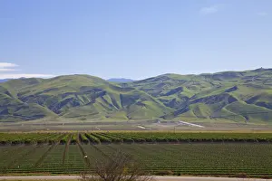 Irrigation: Central Valley Crops, California