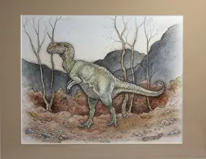 John Holmes: Ceratosaurus. Jurassic