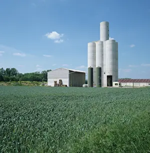 Storage: Cereal farmland and concrete grain silos