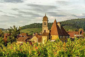 Wine: Ch&, x2d25;au Bontemps, Arbois, Jura departement