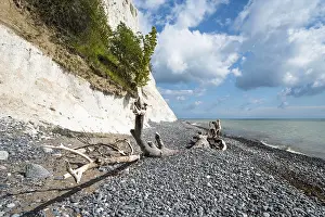 Cliffs: Chalk cliffs, chalk, cliffs, sea