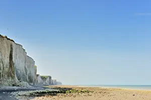 Ault: Chalk cliffs along the French coast with two Gulls flying ab