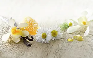 Aromatherapy: Chamomile, Chamaemelum nobileon with Vanilla flowers
