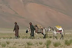 Nomads: Changpa nomads with pack ponies