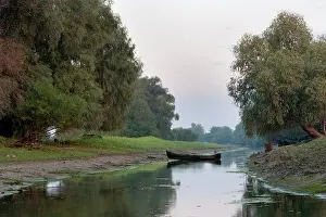 Flooding: The Channels of the Danube Delta, Romania