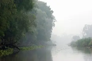 Channels: The channels in the Danube Delta, Romania