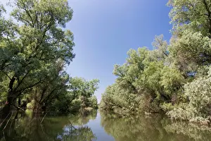 Flooding: Channels and lakes in the Danube Delta