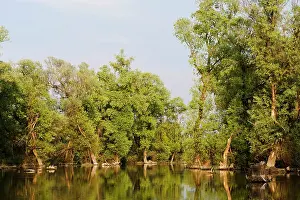 Flooding: Channels and lakes in the Danube Delta