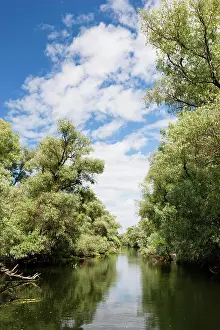 Flooding: Channels and lakes in the Danube Delta