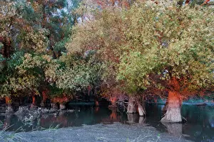 Flooding: Channels and lakes during sunset in the