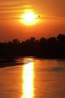 Flooding: Channels and lakes during sunset in the